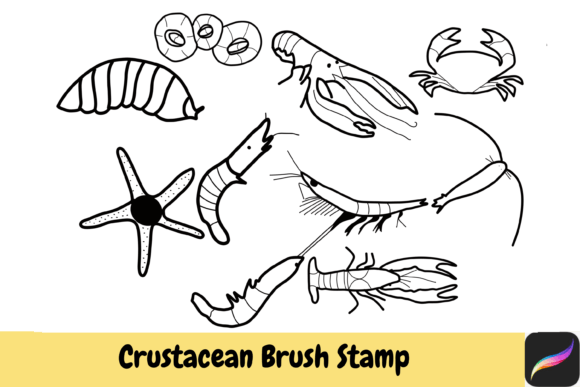 Bring the Ocean to Your iPad: Crustacean Brush Stamps Procreate IPAD