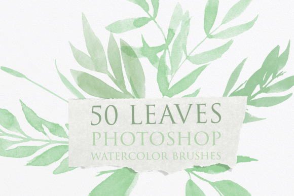 Elevate Your Designs with Leaves Photoshop Watercolor Brushes