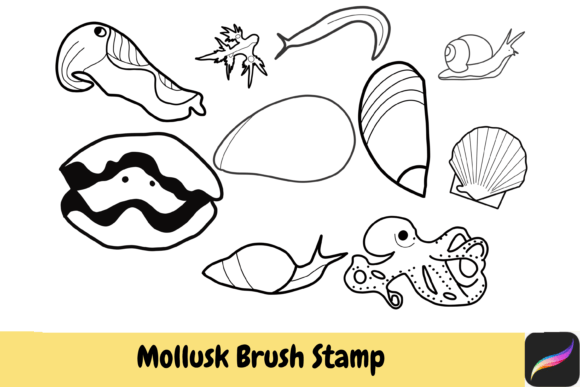 Mollusk Brush Stamps for Procreate: A Designer’s Guide